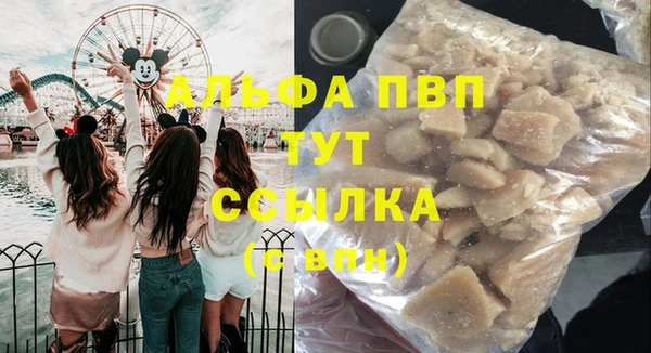гашик Покачи