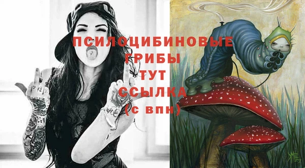 эйфоретик Пестово
