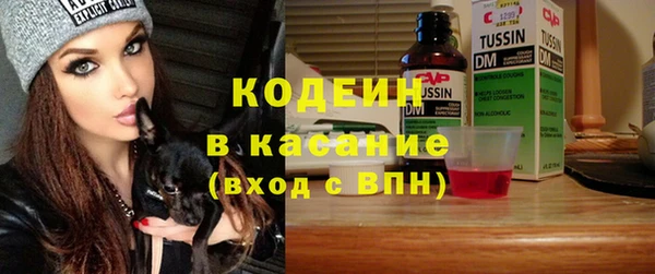 индика Покровск