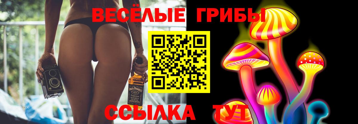 Галлюциногенные грибы Psilocybe  Вход с VPN  закладки  Сафоново 
